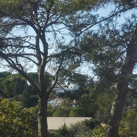 Les Pins Parking Prive Exterieur Nimes